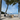 Z LOUNGER: Pumped-Up Limited Deal